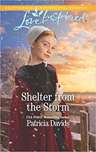 Love Inspired September 2019 - Shelter from the Storm by Patricia Davids
